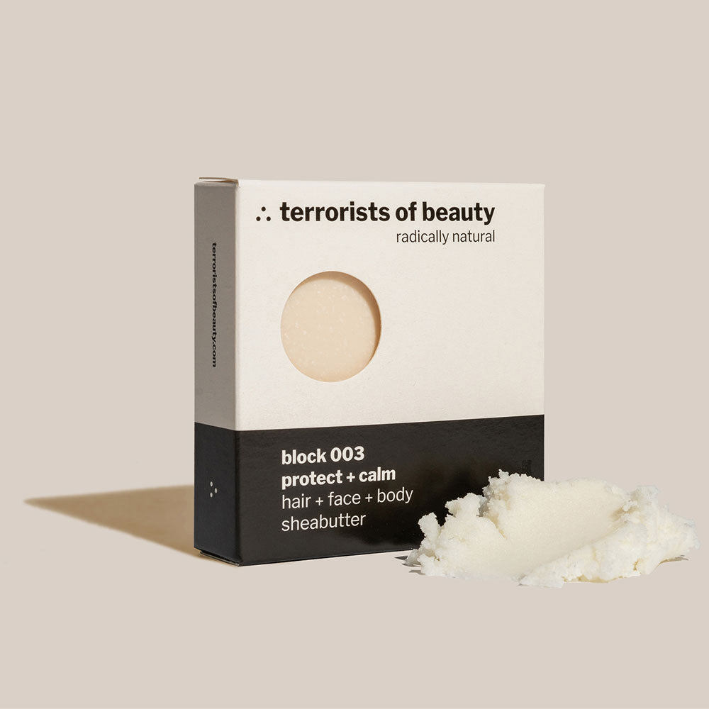 Terrorists-of-Beauty-Block-003-03