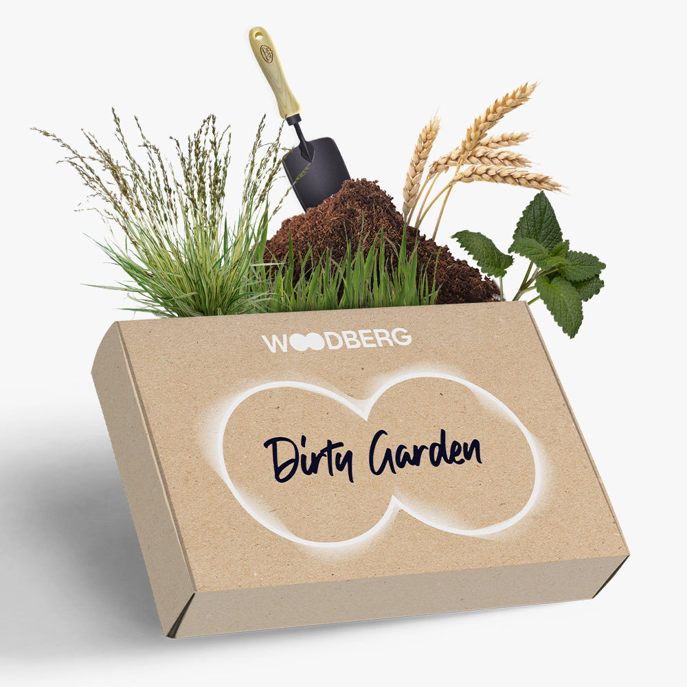 WB-2023_Parfumbox_DirtyGarden_01